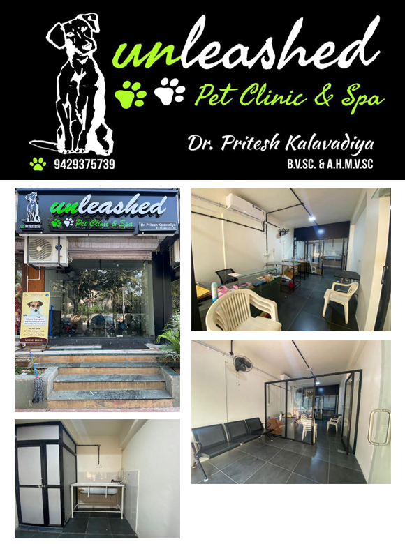 Unleashed Pet Clinic & Spa, Vadodara Helpline