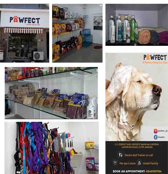 pawfect shop